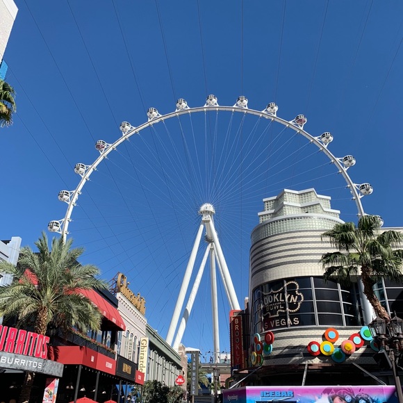 Meet your Posher, Josef - Picture 2 of 4